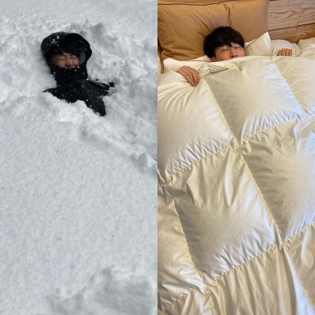 雪のベッドとカシミヤのベッド